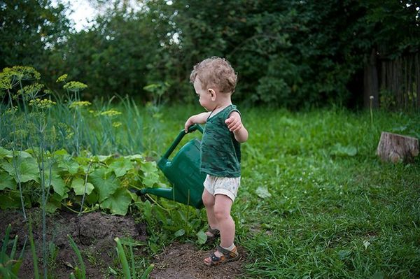  Norme d'arrosage de la courgette Kavili - 10l / m2