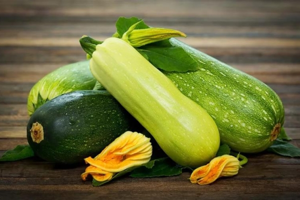  Quelle est la différence entre une courgette et une courgette, quelle est la différence?