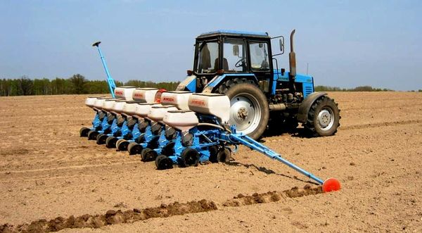  Maïs planté avec des semoirs pneumatiques