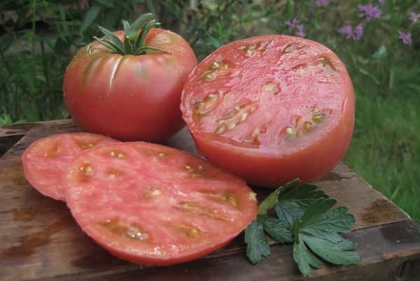  Tomates Mikado Pink