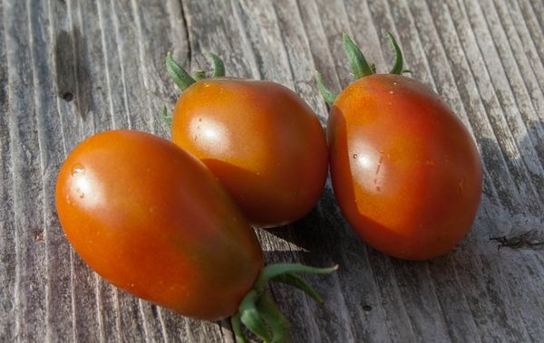  Descrição e características do tomate preto moor