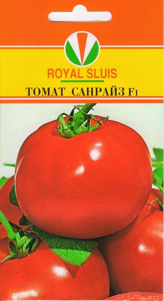  Описание и характеристики на домати Изгрев