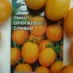  As variedades mais populares de tomates