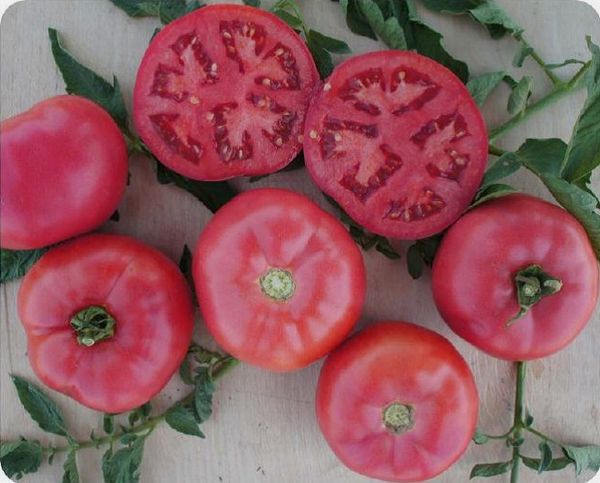  Le poids moyen de la variété de fruit 120-220 grammes