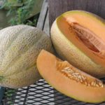  Les meilleures variétés de cantaloup