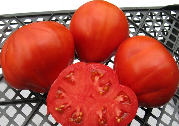  Le poids des fruits d'un grade fait de 160 à 350 grammes