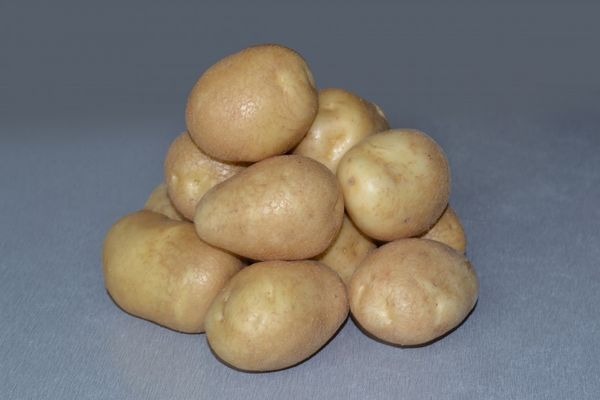  Πατάτες ποικιλίες τύχη