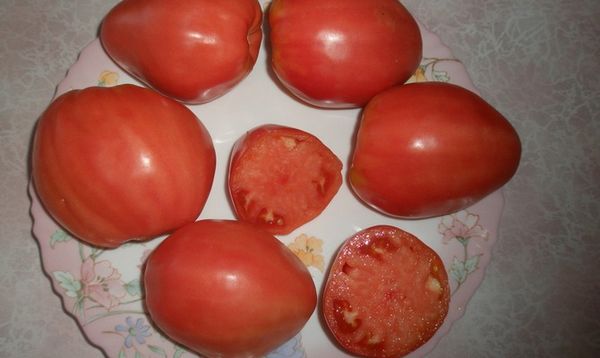  Variétés caractéristiques de tomates Batyanya