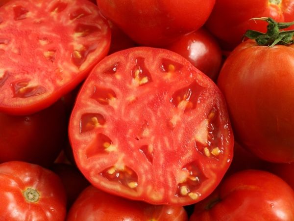  Описание и характеристики на домати Алеша Попович