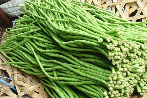  Légume Vigna