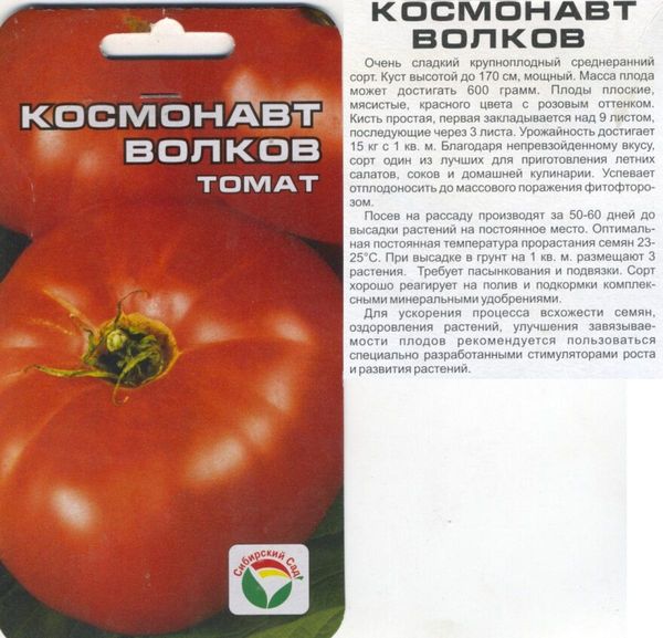  Benih Tomato Cosmonaut Volkov