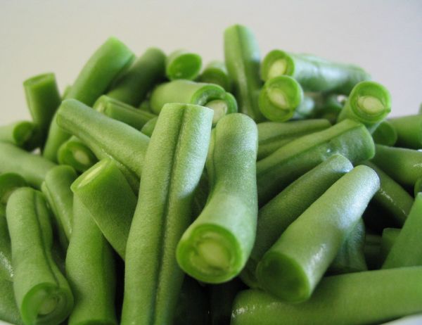  Les haricots verts sont des gousses immatures de la légumineuse.