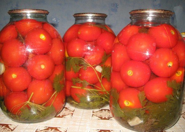  De små frukterna av tomat Klusha är bra för konservering.
