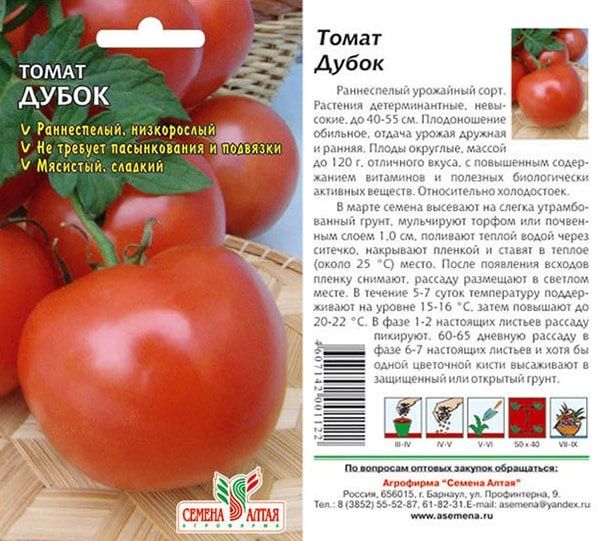  Beschreibung und Eigenschaften von Tomaten Eiche