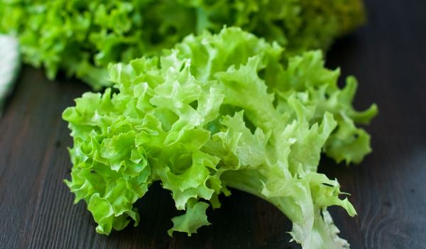  Laitue frisée en calories - pas plus de 15 kcal pour 100 grammes