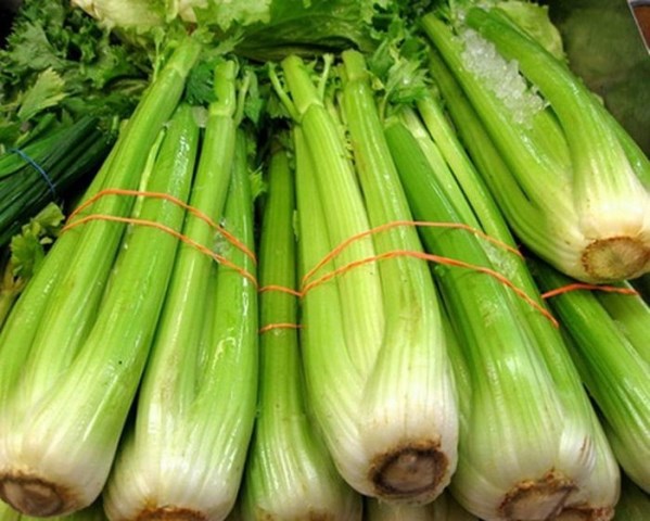  Celery bunches