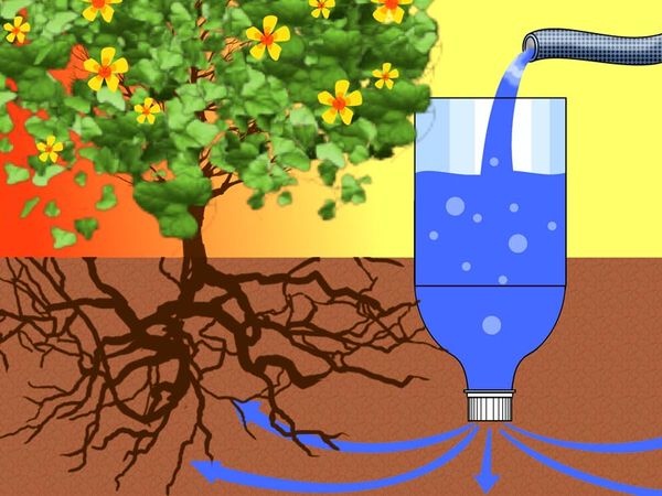  L'irrigation goutte à goutte permet d'économiser du liquide et de l'écouler directement vers les racines.