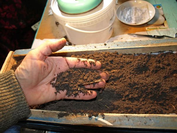  Soil preparation