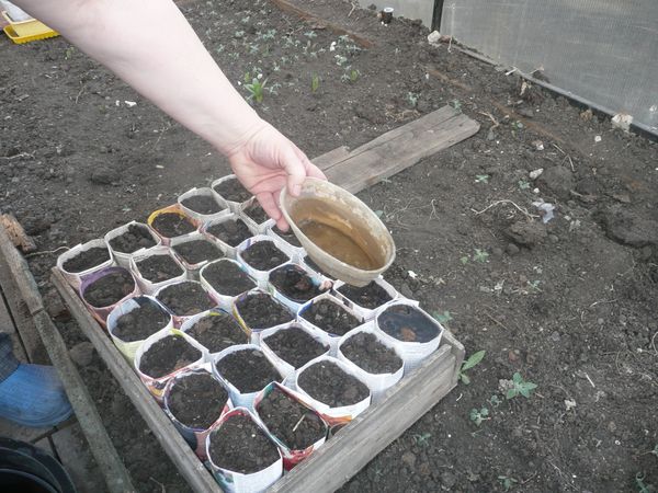  Подготовка на почвата