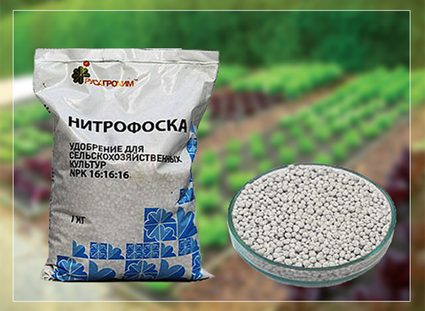  Fertilizante nitrophoska