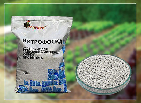  Fertilizer nitrophoska