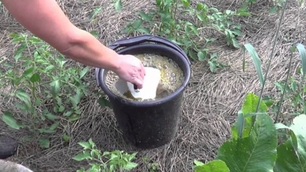  Bewässerung von Pflanzen mit Kaliumhumatlösung