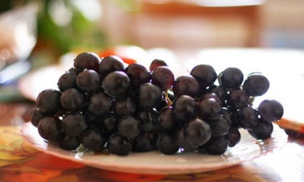  Como conservar uvas para o inverno