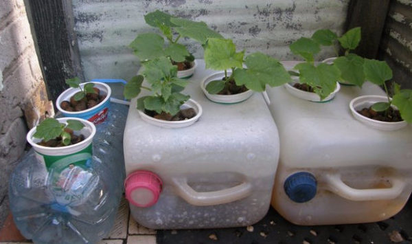  Growing by hydroponics