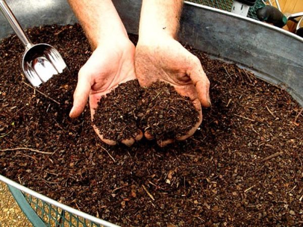  Compost obținut din rumeguș