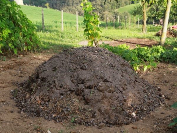  Laying horse manure for overriding
