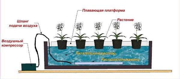  The scheme of the simplest hydroponic installation