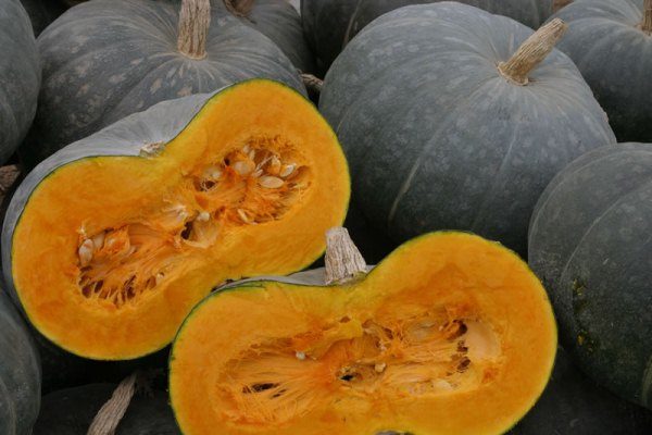  Estreno de comida de calabaza