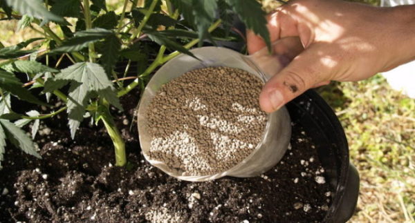  Uso di farina di dolomite per la disidratazione del suolo
