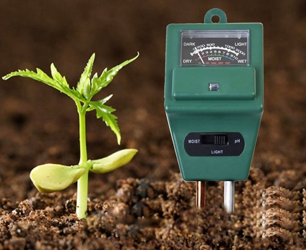  how to determine the acidity of the soil at home