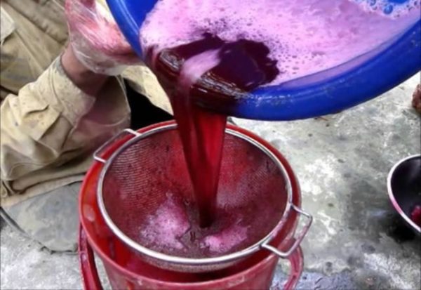  Percolación de zumo de uva a través de un colador.