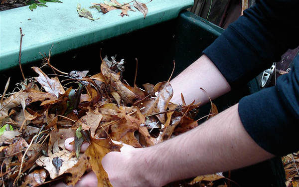  A folhagem coletada deve ser cortada à mão ou com um triturador.