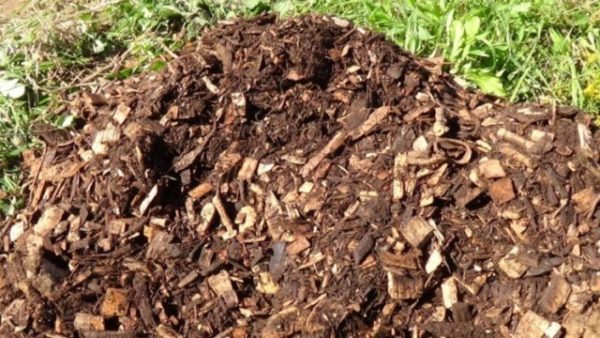  Compost from sawdust