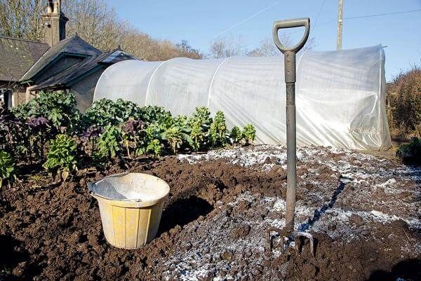  Fertilizarea solului pentru sapaturi