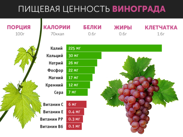  Eine grafische Darstellung des Vitamingehalts in 100 g Trauben