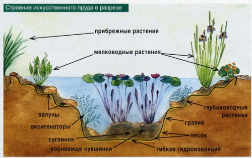  A estrutura esquemática da lagoa para peixes