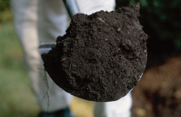  Bodenmischung für Kohl
