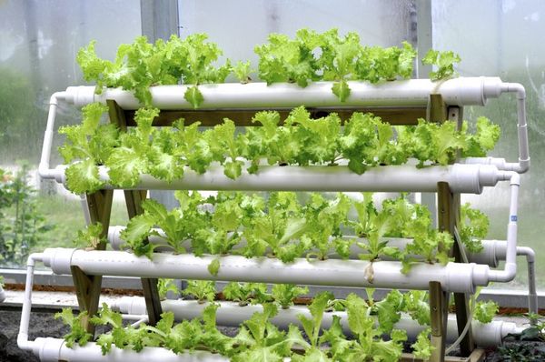  Equipment for hydroponics systems