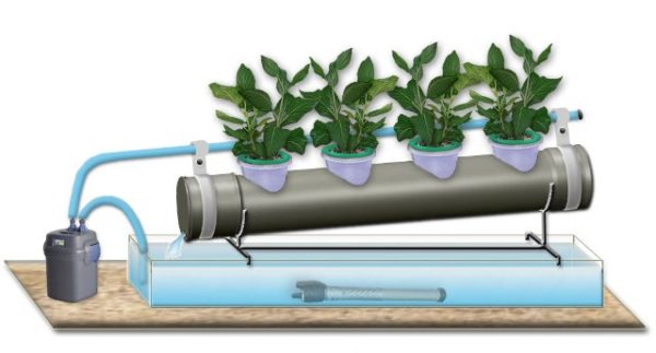  Design for growing plants using hydroponics