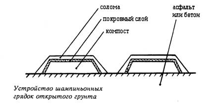  Схемата за подреждане на леглата с гъби