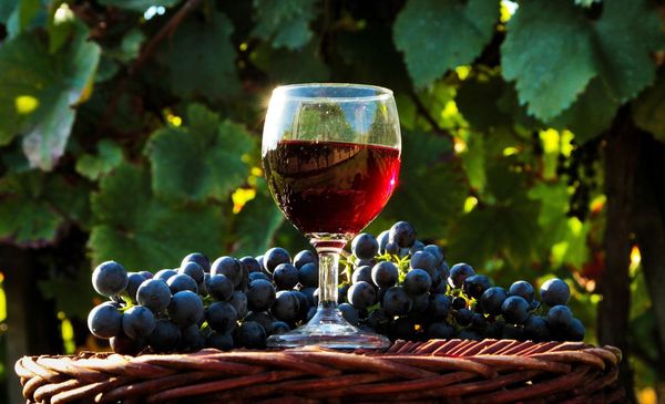  Wein aus fernöstlichen Trauben