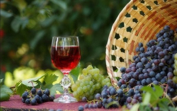  Για την παρασκευή του κρασιού ζυμώνονται τα κατάλληλα σταφύλια κάθε ποικιλίας.