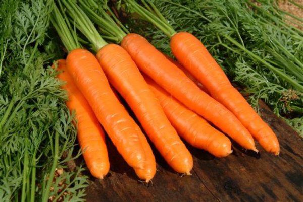 bonne récolte de carottes