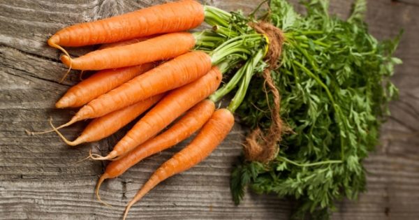  plantarea morcovilor folosind metoda kizima